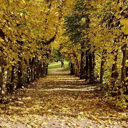 Boen Gard クリスティアンサン