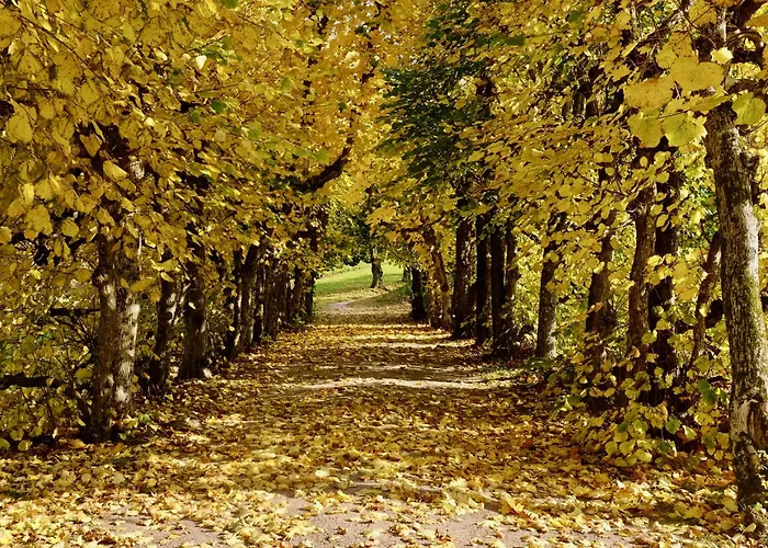 Boen Gard קריסטיאנסאנד