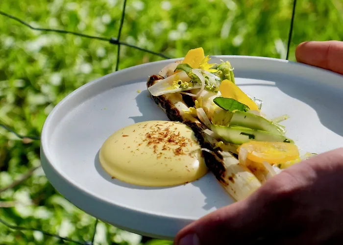 Boen Gard 5* קריסטיאנסאנד